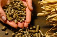 free Giddy Green biomass boiler quotes